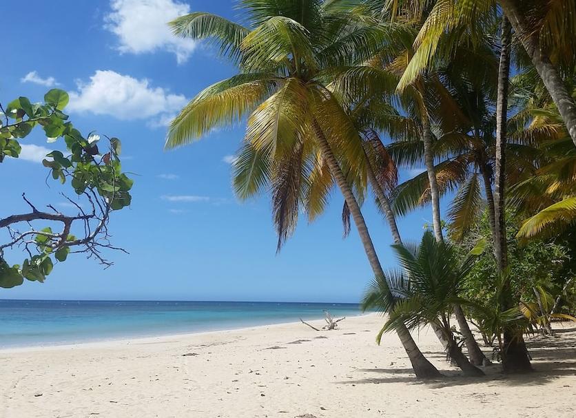Playa Foto