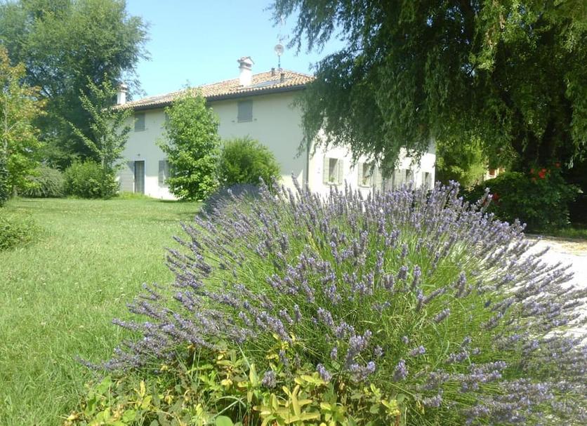 Vista del exterior Foto