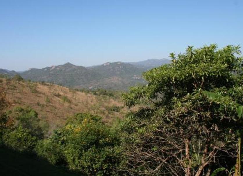 Vista del exterior Foto