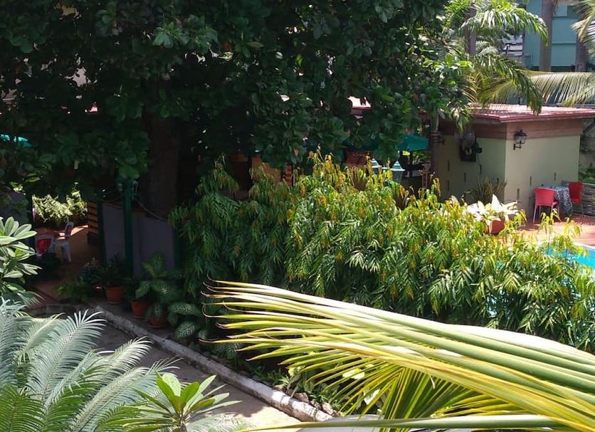 Vista del exterior Foto