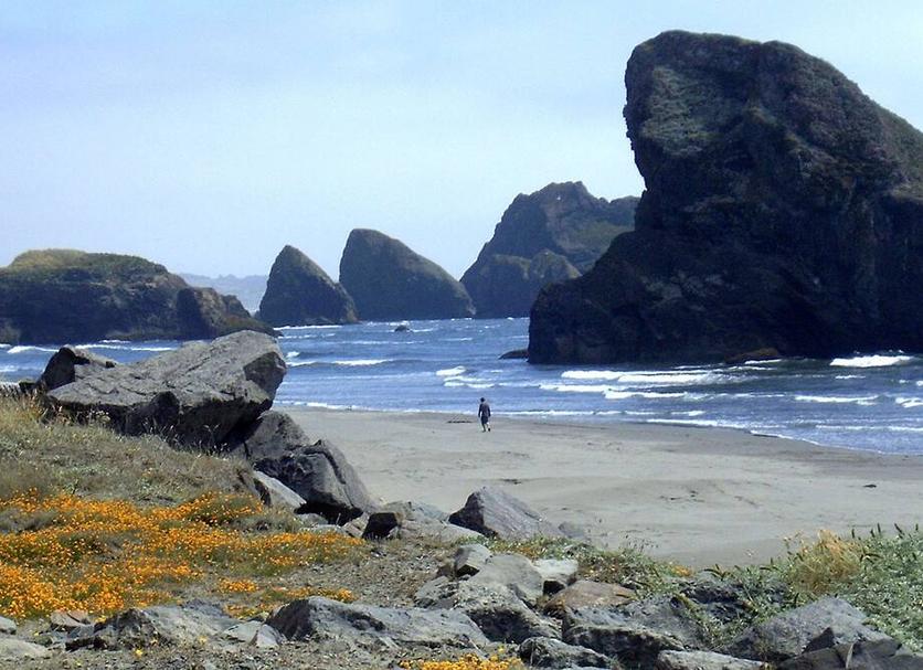Playa Foto