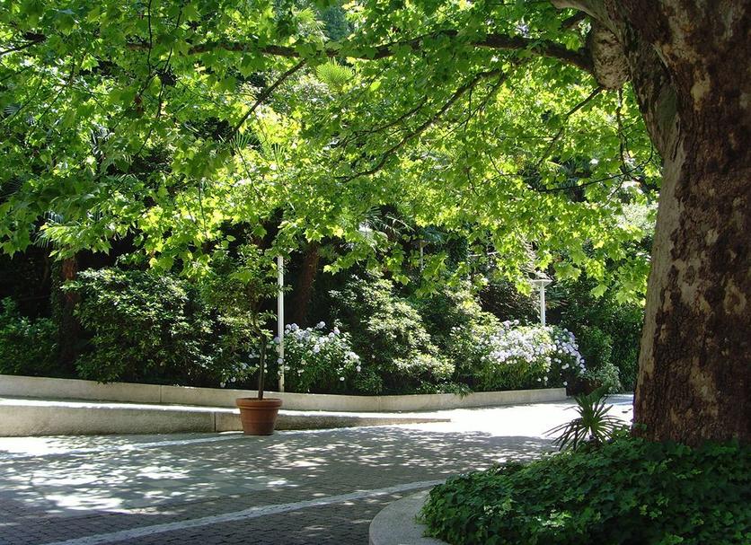 Vista del exterior Foto