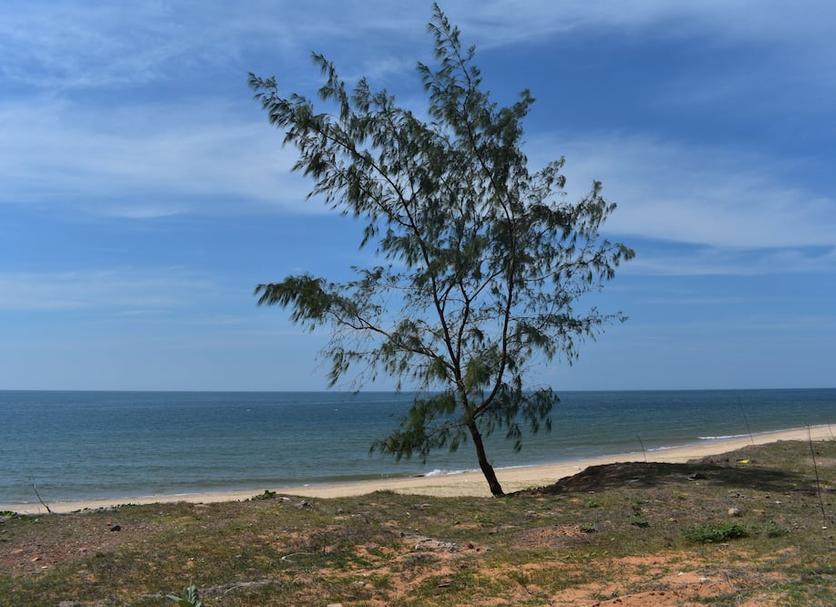 Playa Foto
