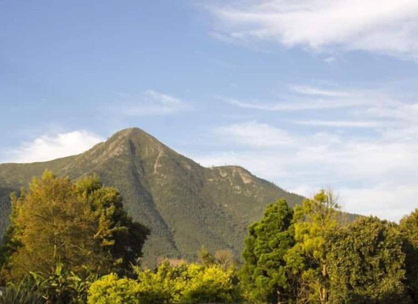 Vista del exterior Foto