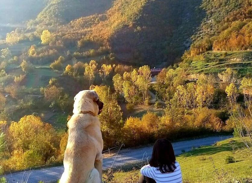 Otros Foto