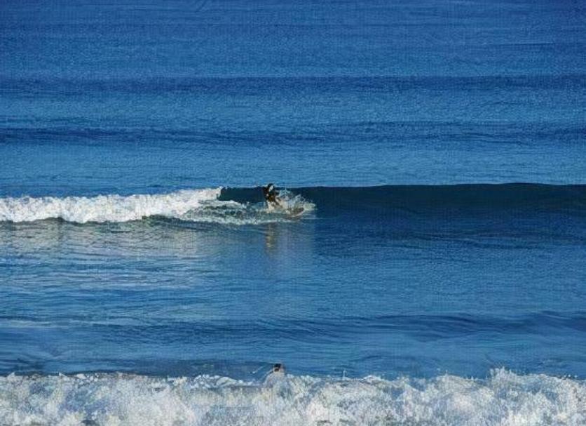Otros Foto