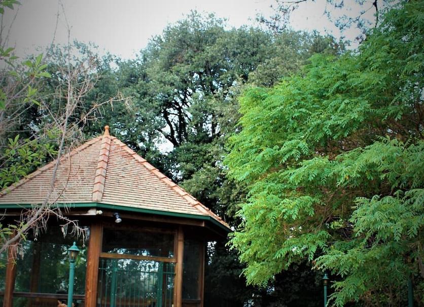 Vista del exterior Foto