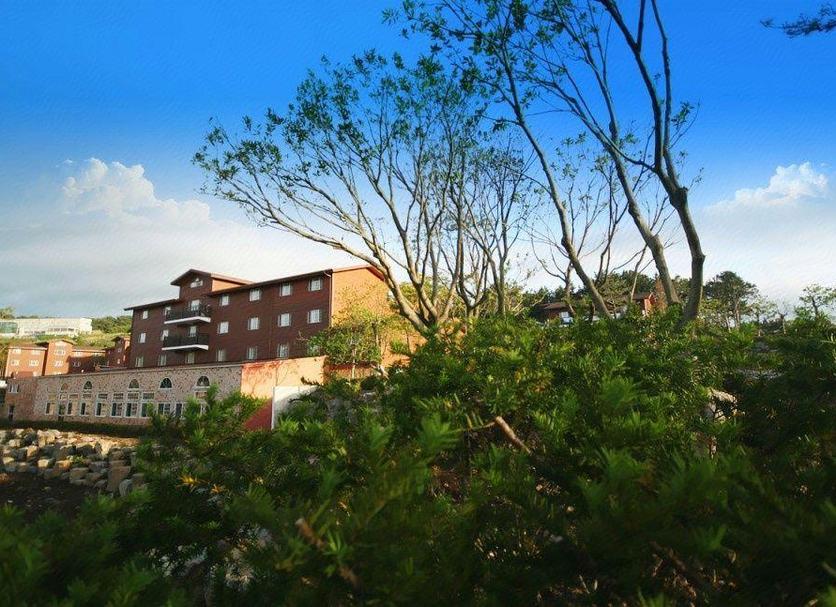 Vista del exterior Foto