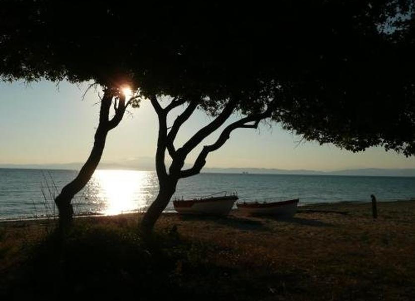 Playa Foto