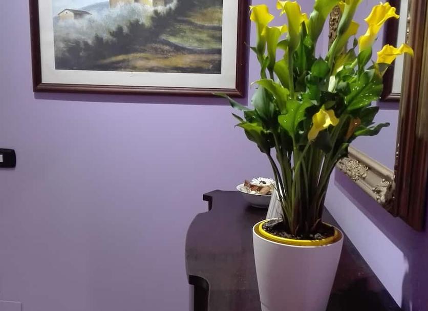 Servicio de la habitación Foto