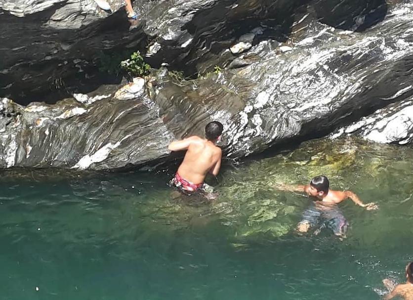Otros Foto