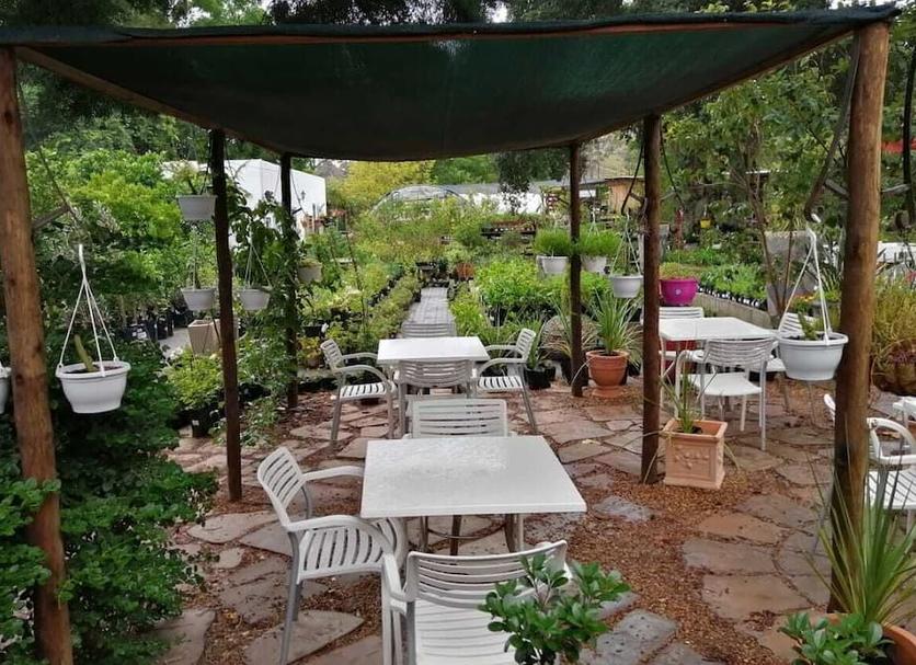 Patio Foto