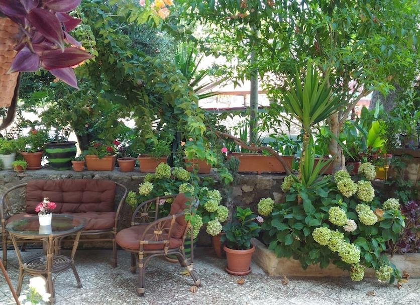 Patio Foto