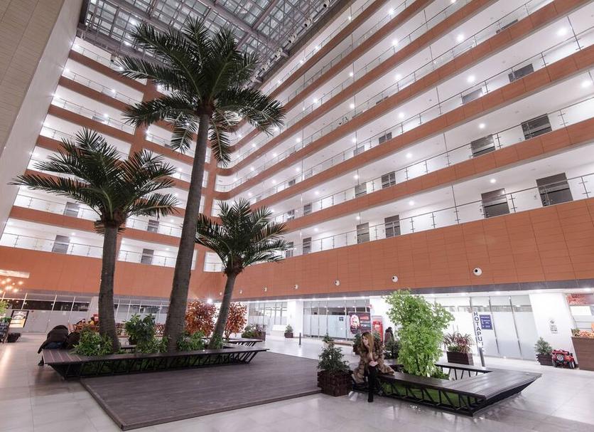 Edificio Foto