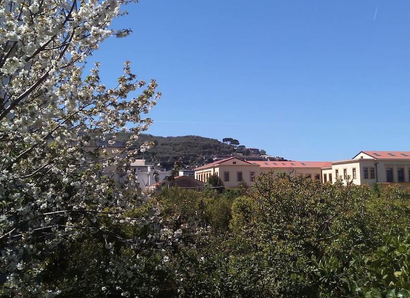 Vista del exterior Foto