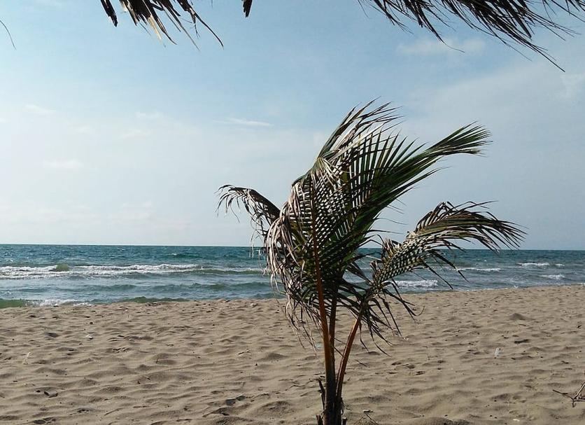 Playa Foto