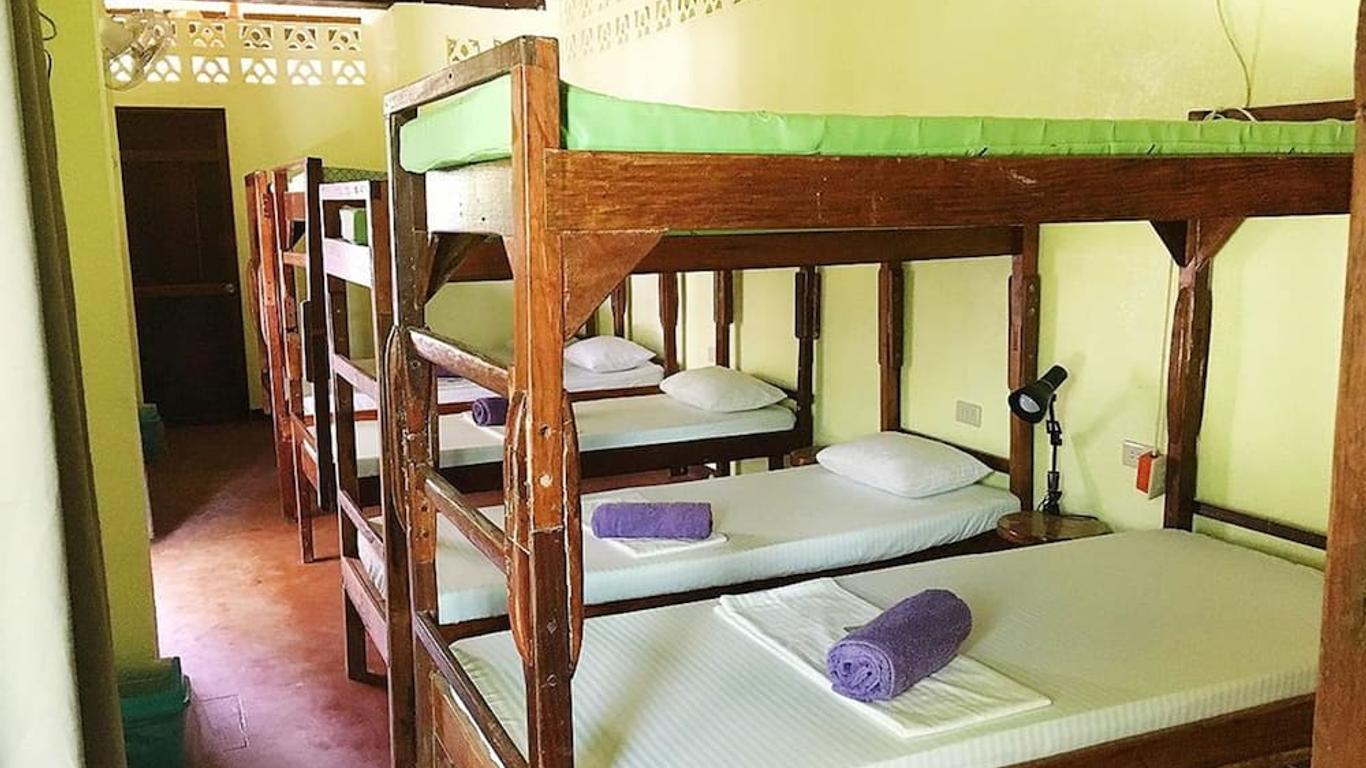Elternative Hostel