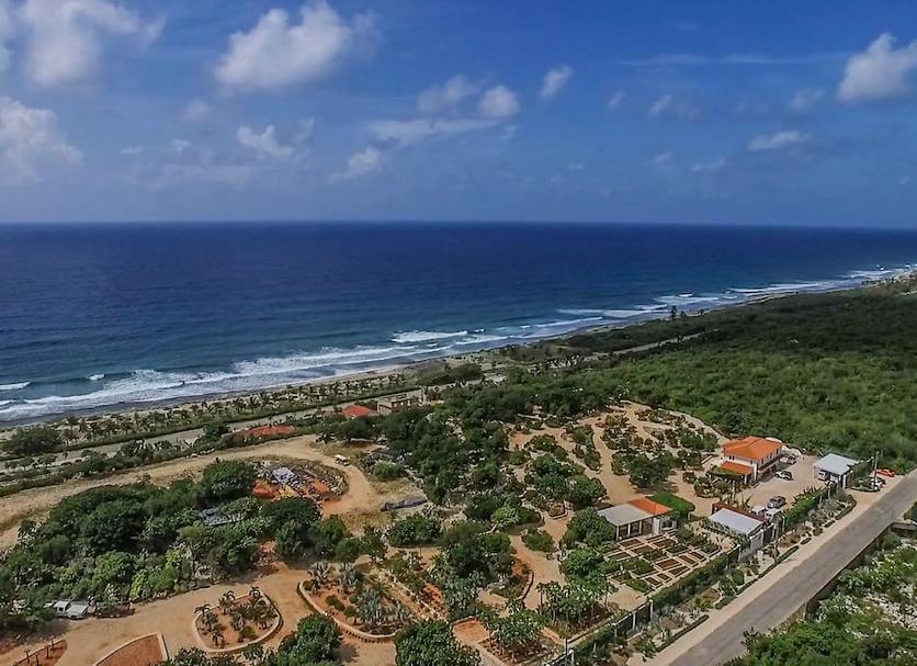 Playa Foto