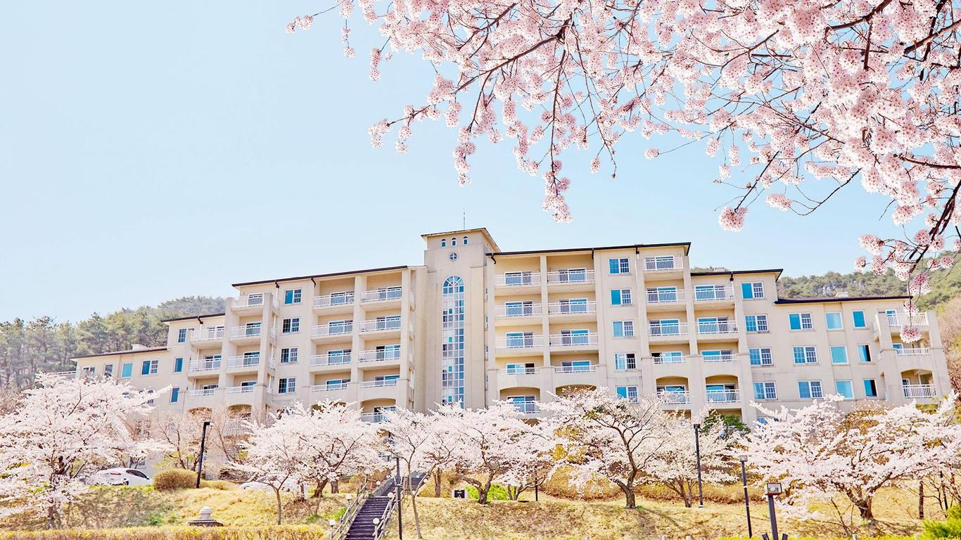 Gyeongju Mauna Ocean Resort