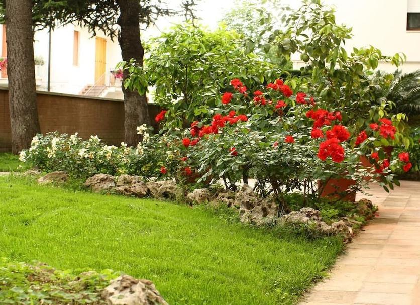 Vista del exterior Foto