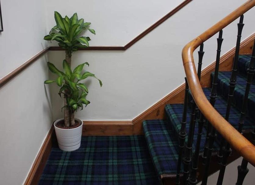 Escaleras Foto