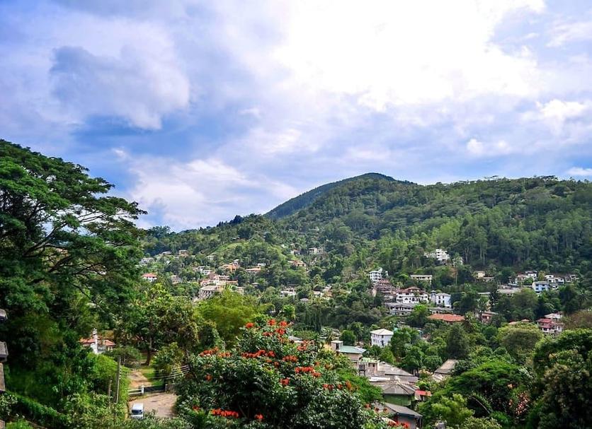 Vista del exterior Foto