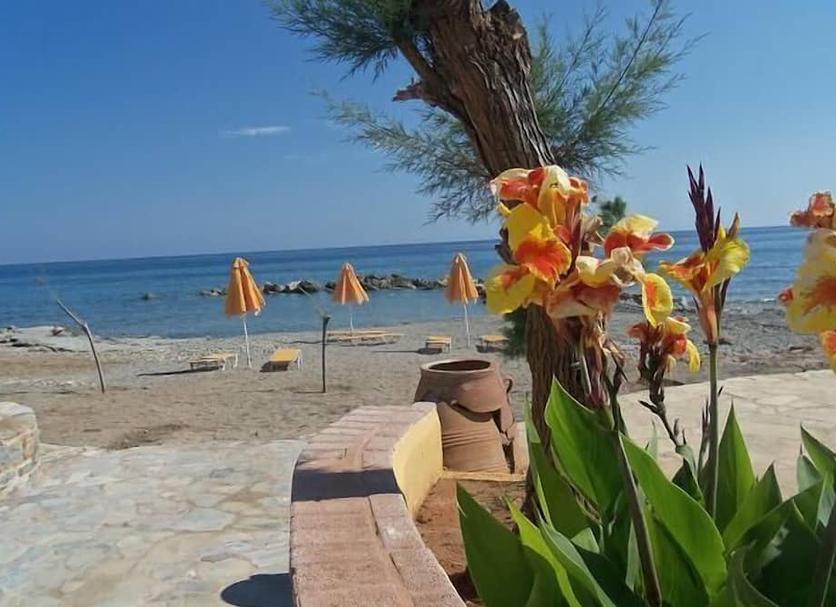 Playa Foto