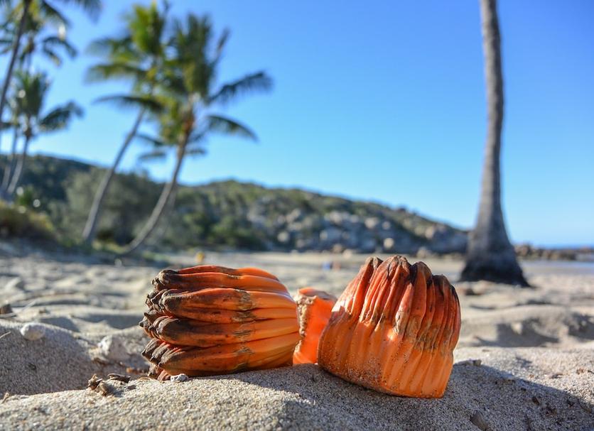 Playa Foto