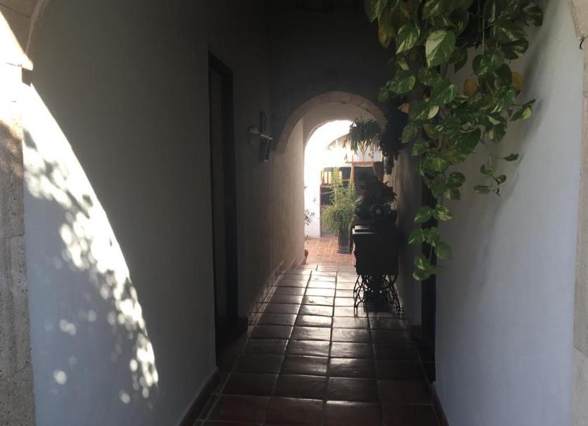 Otros Foto