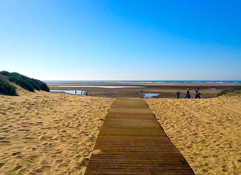 Playa Foto