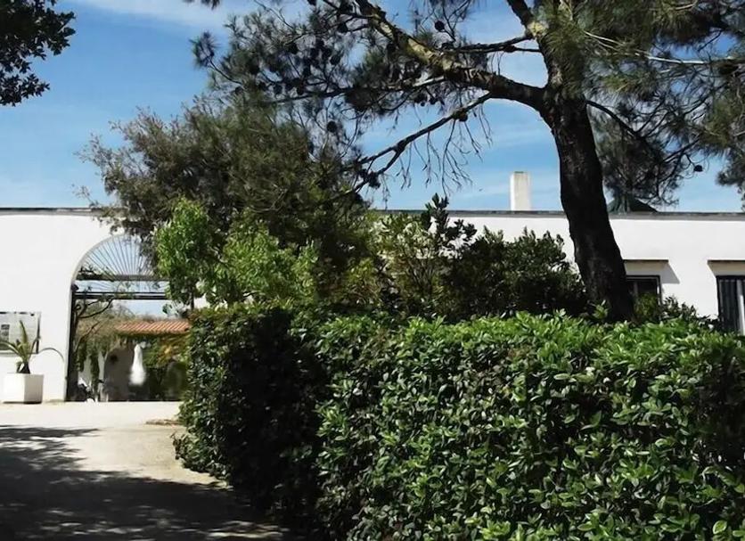 Vista del exterior Foto