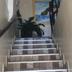 Escaleras