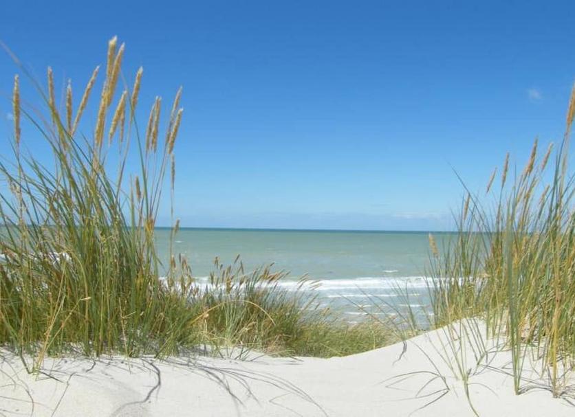 Playa Foto