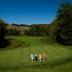 Campo de Golf