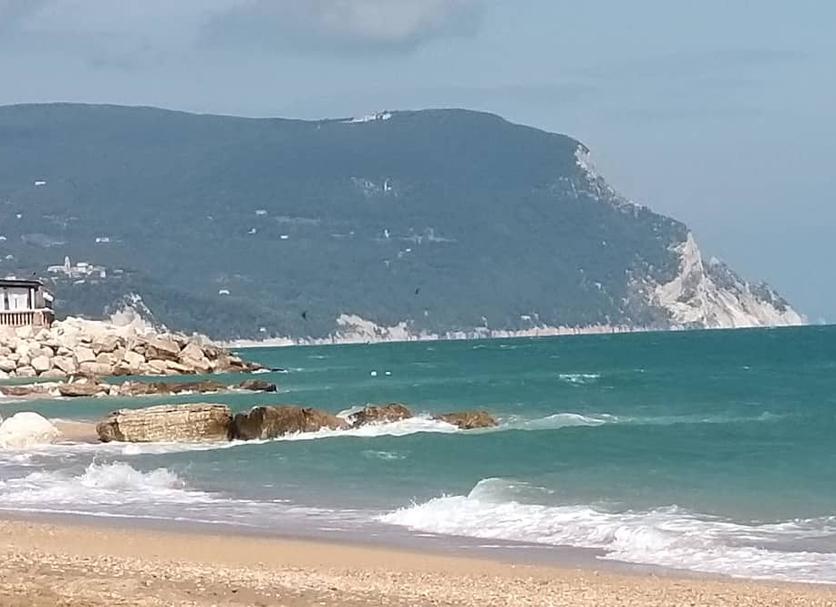 Otros Foto