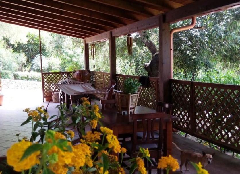 Patio Foto