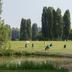 Campo de Golf