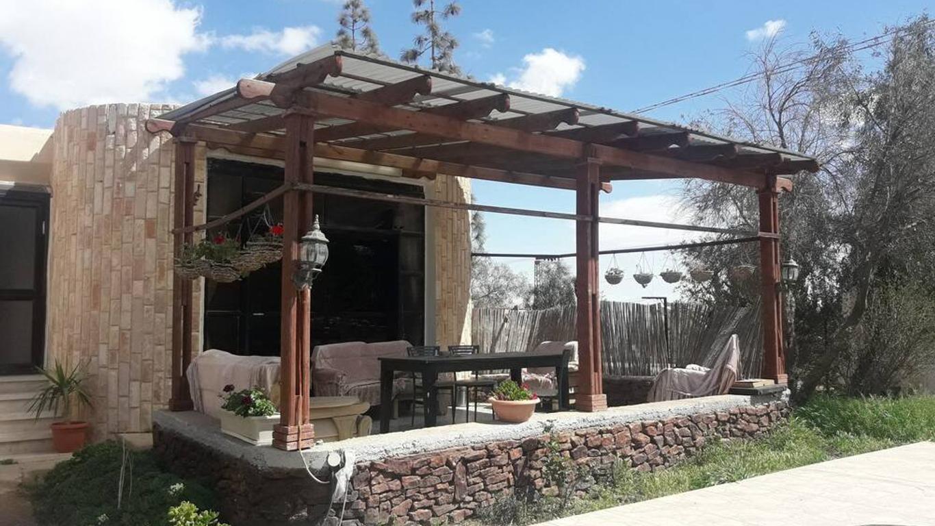 Oasis Negev
