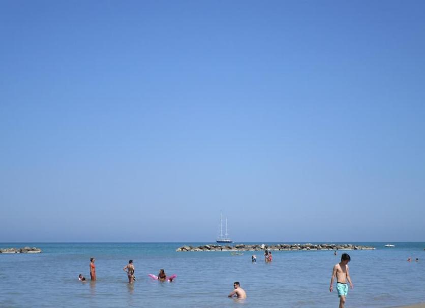 Otros Foto