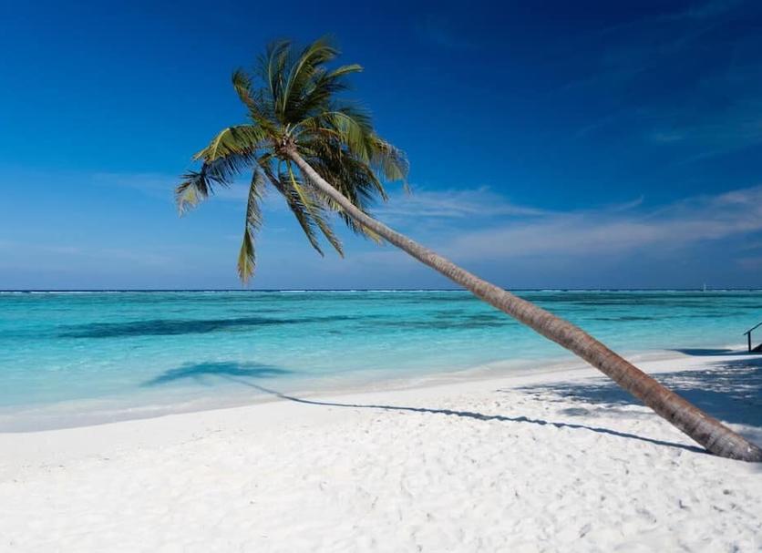 Playa Foto