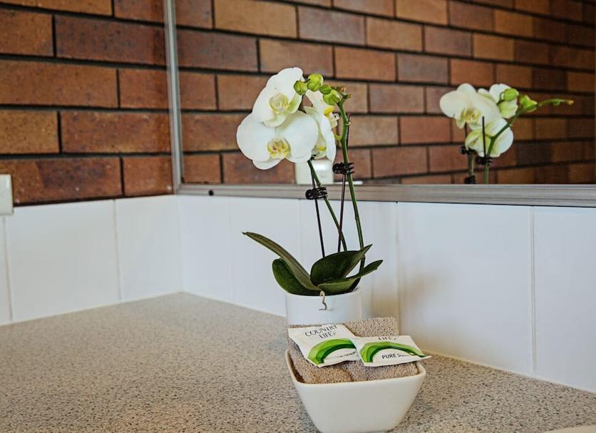 Servicio de la habitación Foto