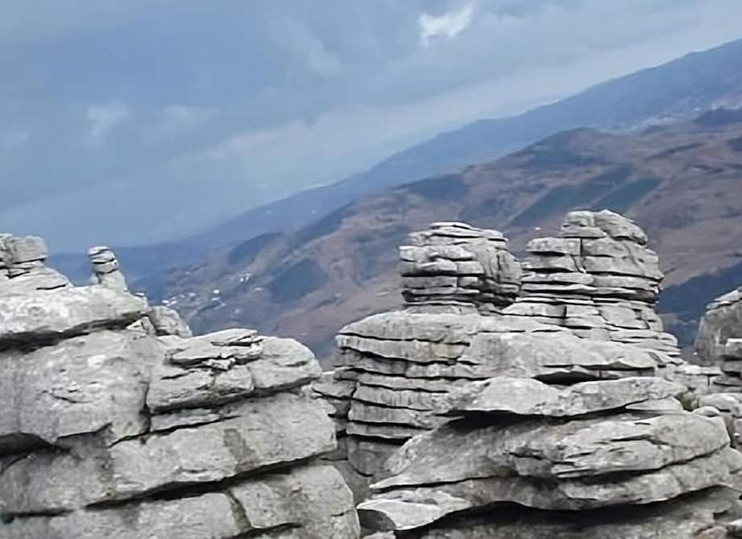 Otros Foto