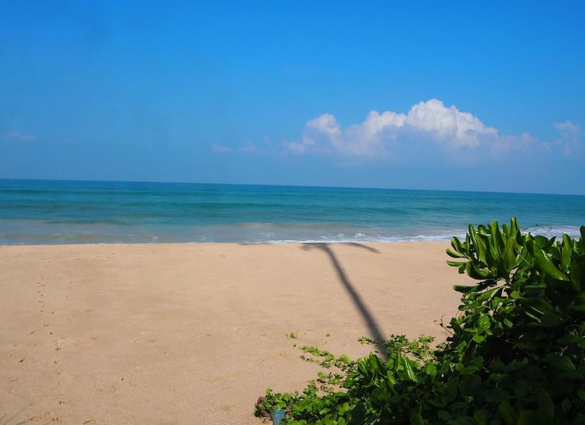 Playa Foto
