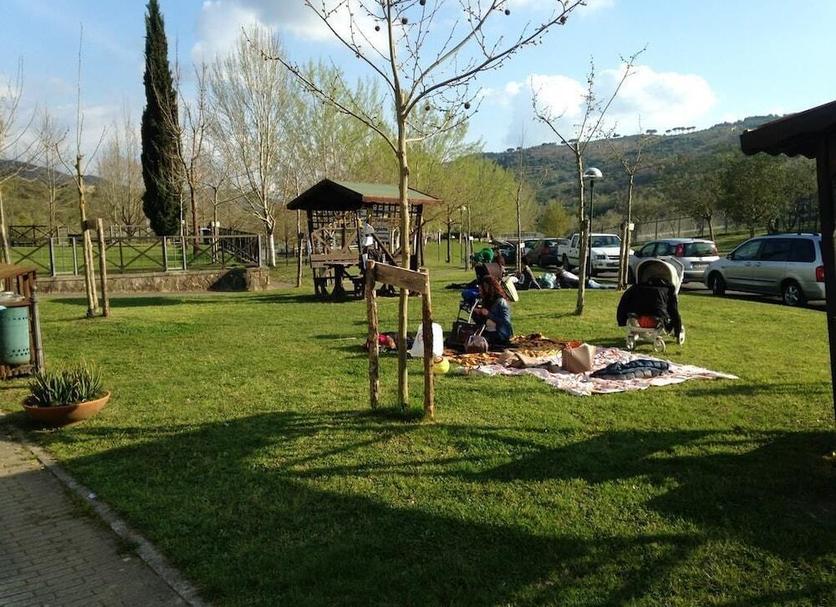 Otros Foto