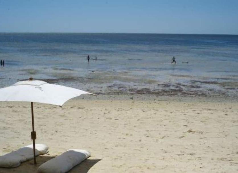 Playa Foto