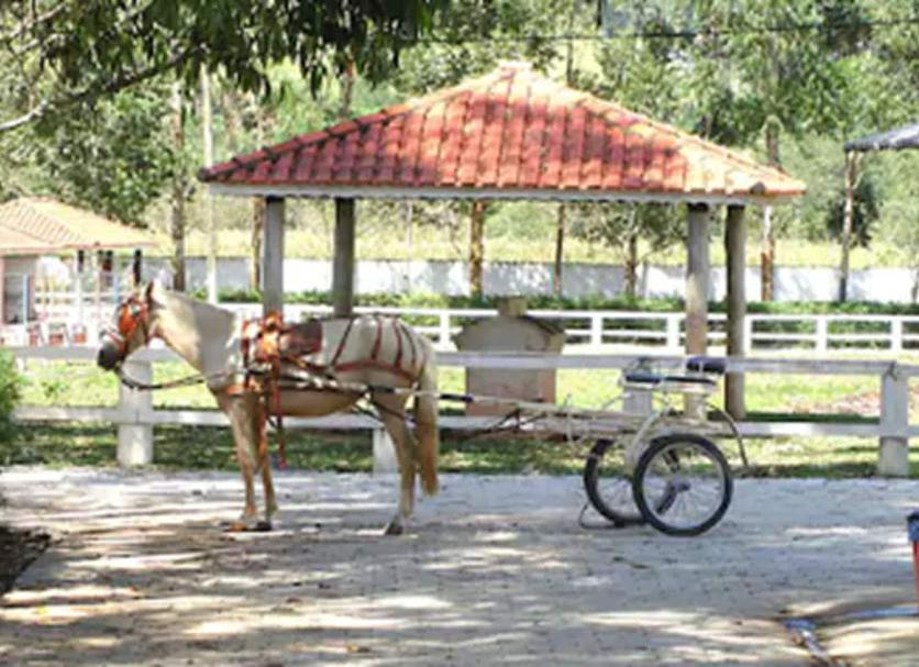 Otros Foto