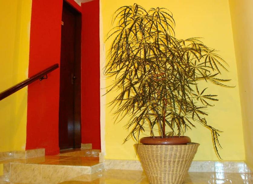 Servicio de la habitación Foto