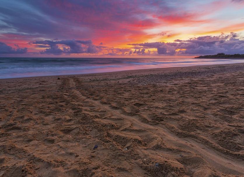 Playa Foto