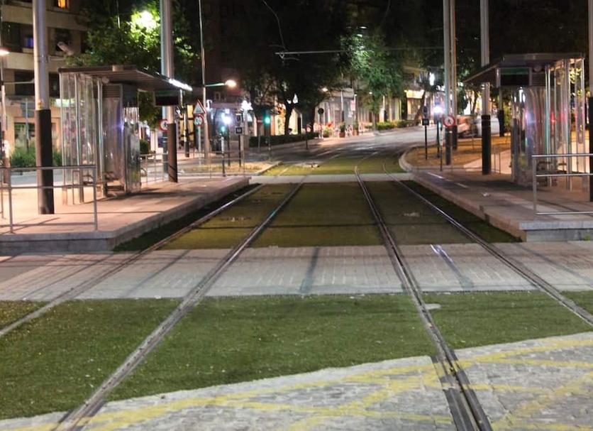 Otros Foto