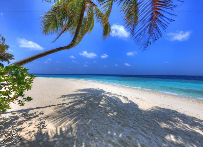 Playa Foto